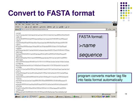 txt to fasta converter|Phylogeny.fr: Format conversion .